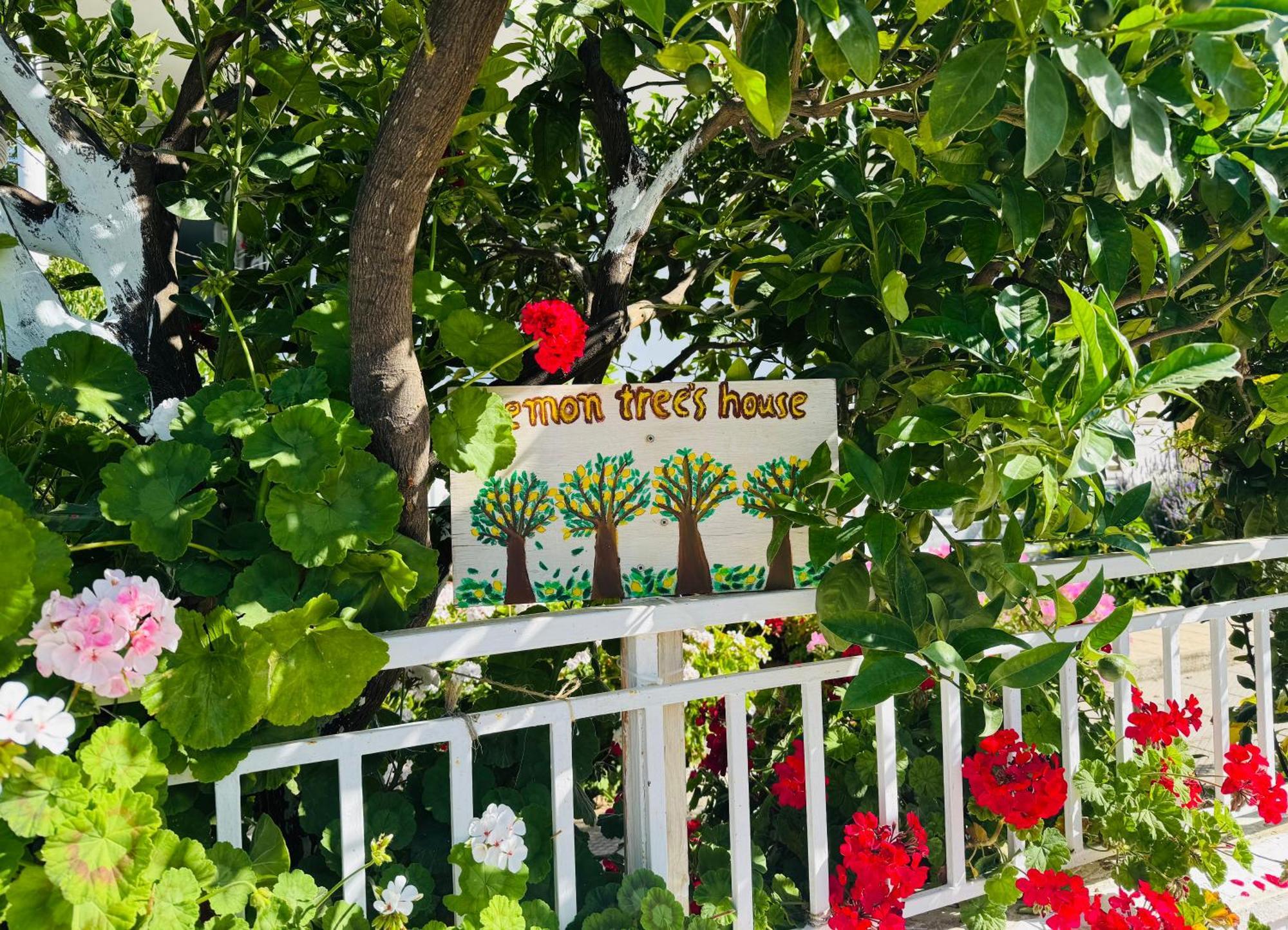 Lemon Tree's House *